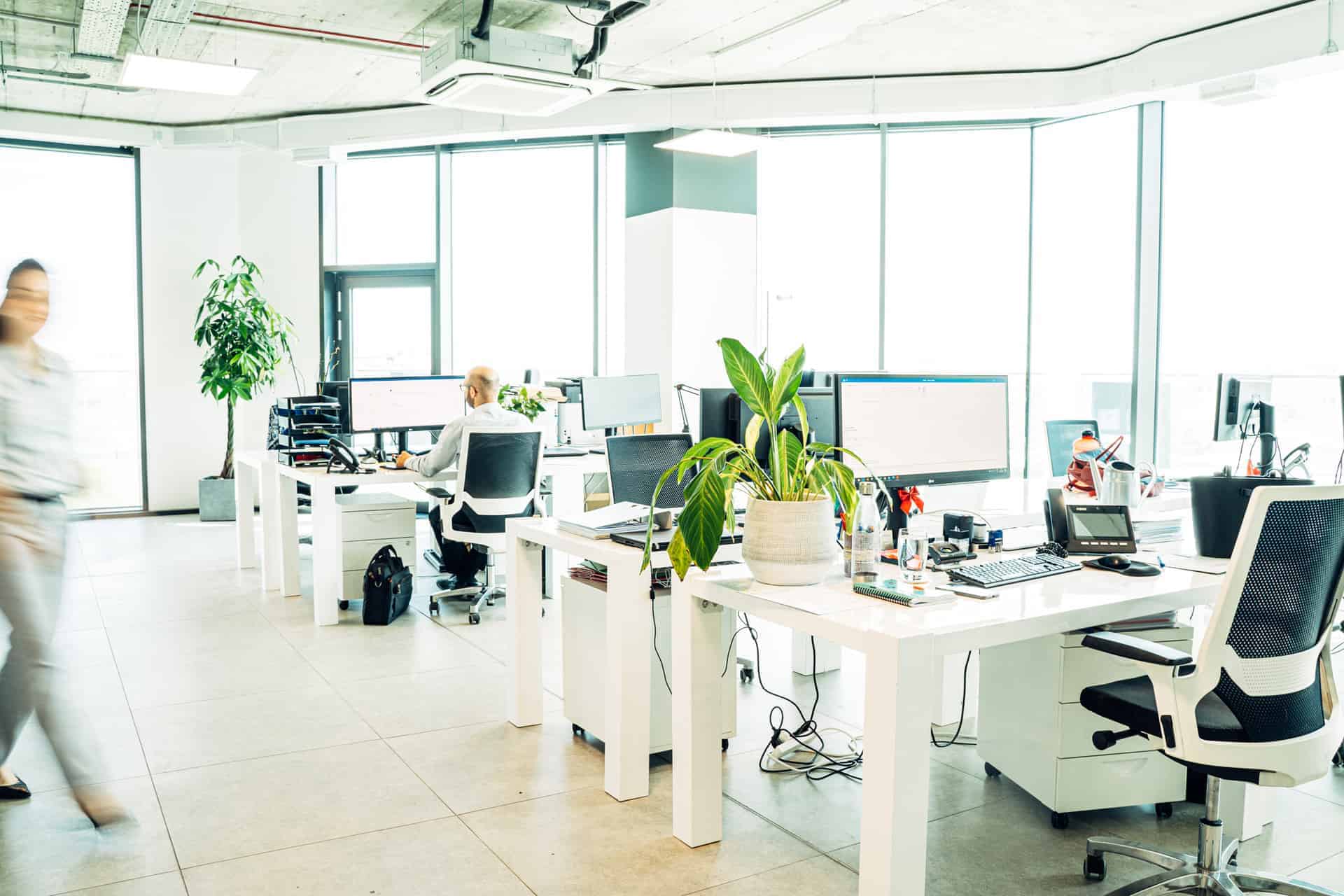 Serviced Desks Malta (CoWorking) DW&P Dr. Werner & Partners